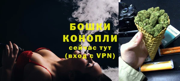 Альфа ПВП Белокуриха