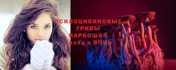 Альфа ПВП Белокуриха