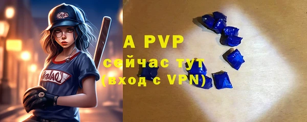 шишки Белоозёрский