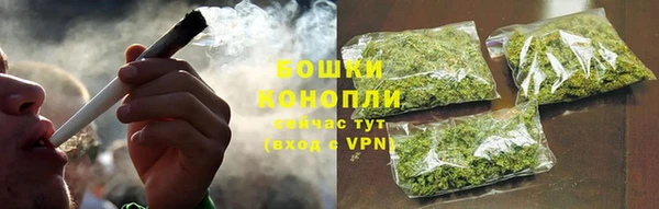 шишки Белоозёрский