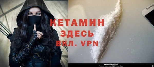шишки Белоозёрский