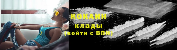 Альфа ПВП Белокуриха