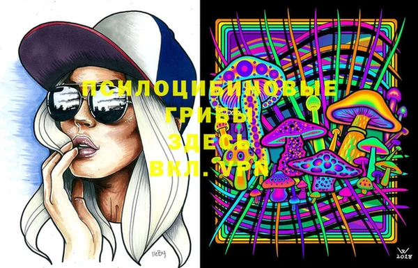 Альфа ПВП Белокуриха