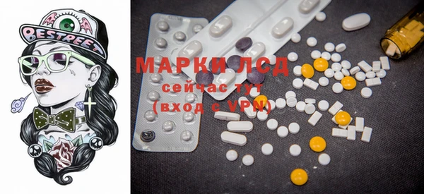 шишки Белоозёрский