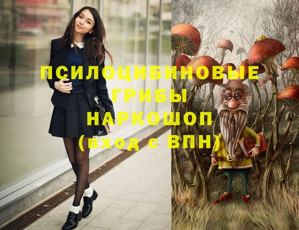 шишки Белоозёрский