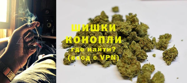 шишки Белоозёрский
