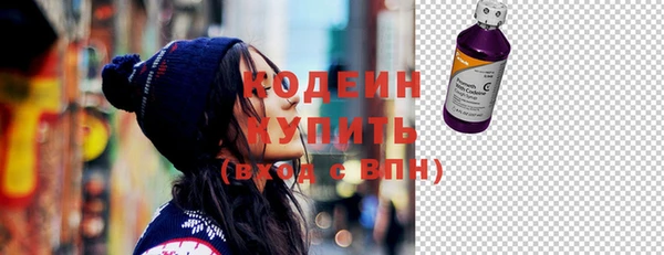 шишки Белоозёрский