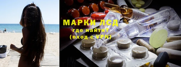 шишки Белоозёрский