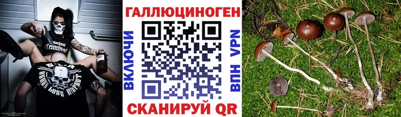 Псилоцибиновые грибы мицелий Красноперекопск